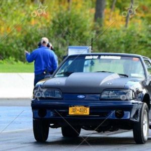 Meet your Posher, Wayne